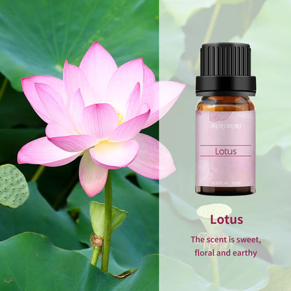 BURIBURI Lotus & Peony Essential Oils Gift Set 2-Pack – 100% Pure | Diffuser, Soap Making