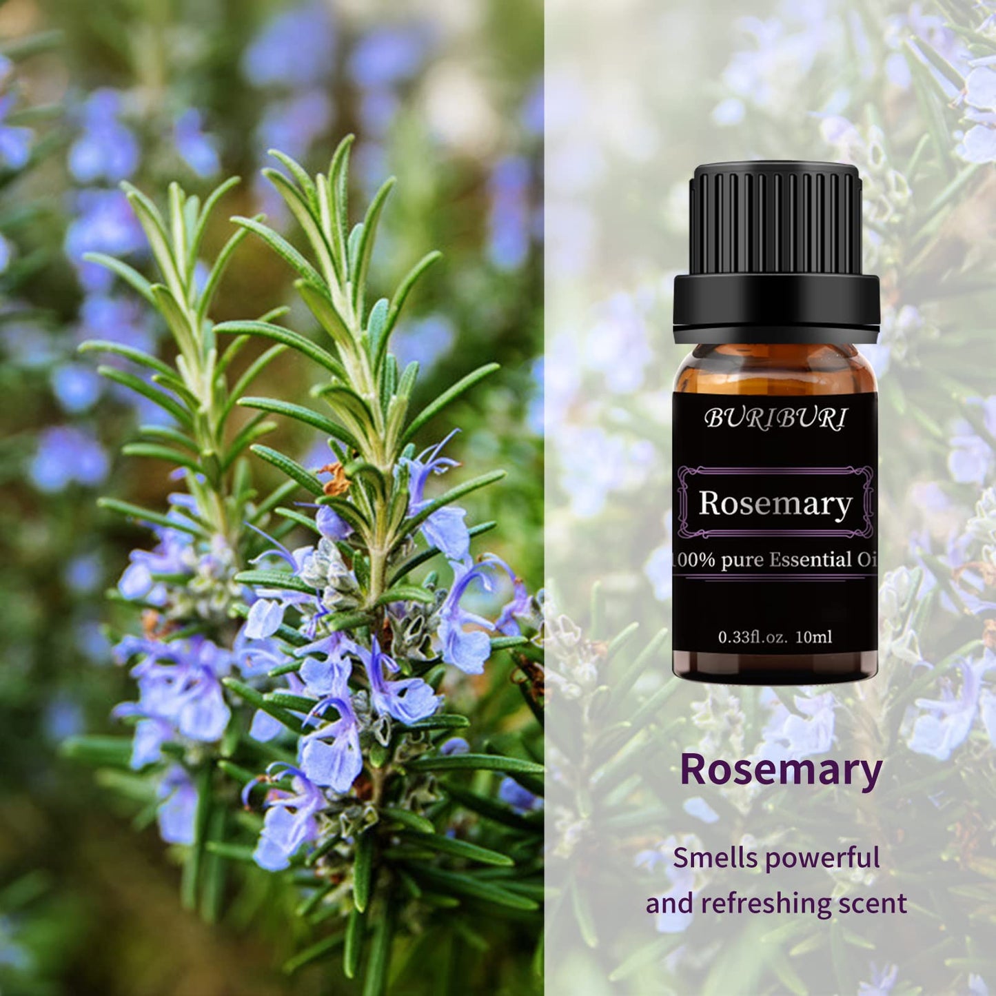 BURIBURI Rosemary Essential Oil 100% Pure – 10ml, Undiluted, Organic
