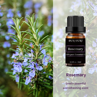 BURIBURI Rosemary Essential Oil 100% Pure – 10ml, Undiluted, Organic