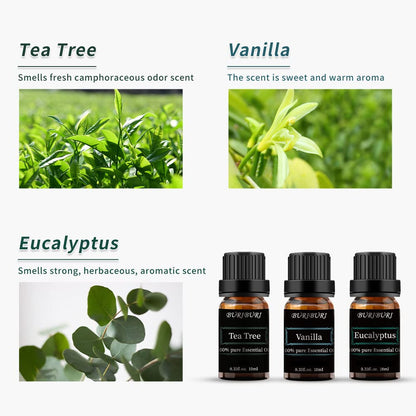 BURIBURI Tea Tree, Eucalyptus & Vanilla Essential Oil Set – 3x10ml, 100% Pure