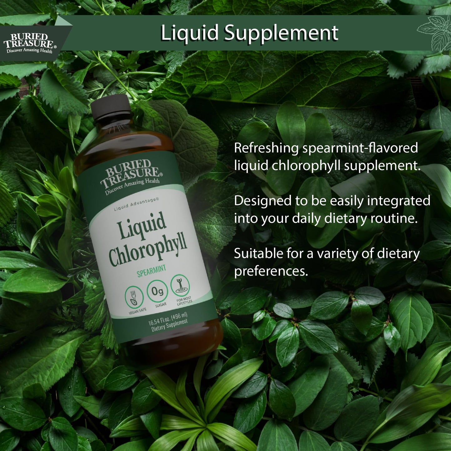 Buried Treasure Liquid Chlorophyll 100 mg – Energy & Immune Support, Detox (Spearmint, 16 oz)