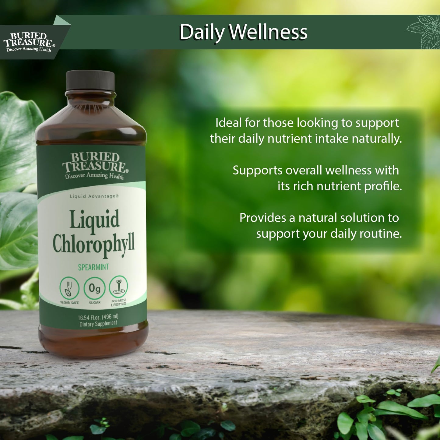 Buried Treasure Liquid Chlorophyll 100 mg – Energy & Immune Support, Detox (Spearmint, 16 oz)