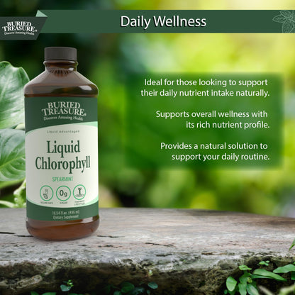 Buried Treasure Liquid Chlorophyll 100 mg – Energy & Immune Support, Detox (Spearmint, 16 oz)