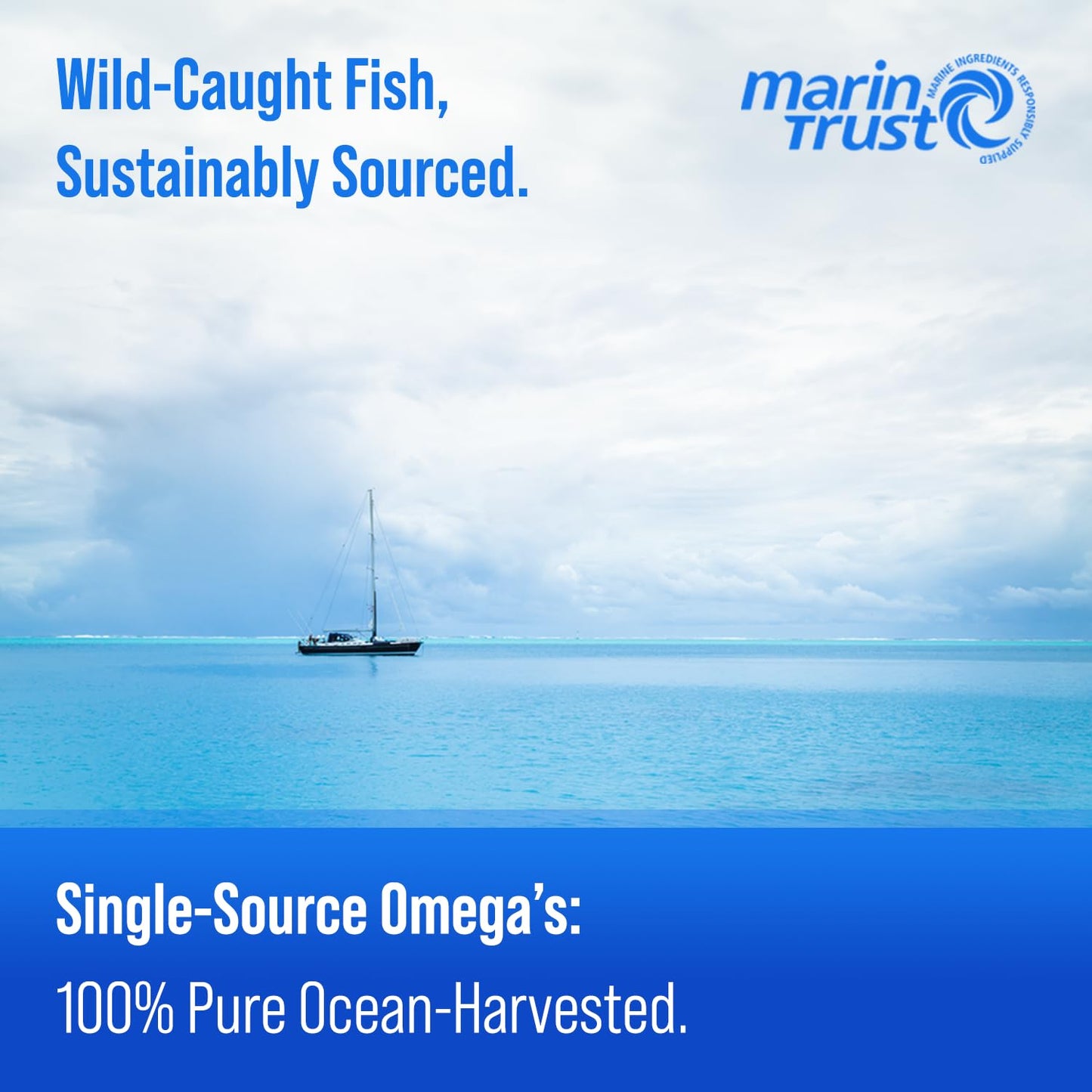 Triple Strength Omega-3 Fish Oil 3600 mg | 180 Softgels | Burpless, Wild-Caught | EPA & DHA | Lemon Flavor