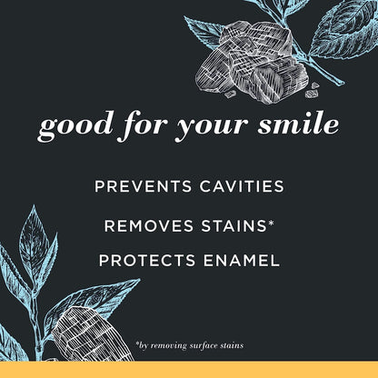 Burt's Bees Charcoal Toothpaste with Fluoride – Mountain Mint, 3 x 4.7 oz (SLS-Free, Not Tested on Animals)