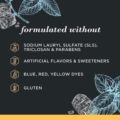 Burt's Bees Charcoal Toothpaste with Fluoride – Mountain Mint, 3 x 4.7 oz (SLS-Free, Not Tested on Animals)