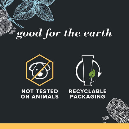 Burt's Bees Charcoal Toothpaste with Fluoride – Mountain Mint, 3 x 4.7 oz (SLS-Free, Not Tested on Animals)
