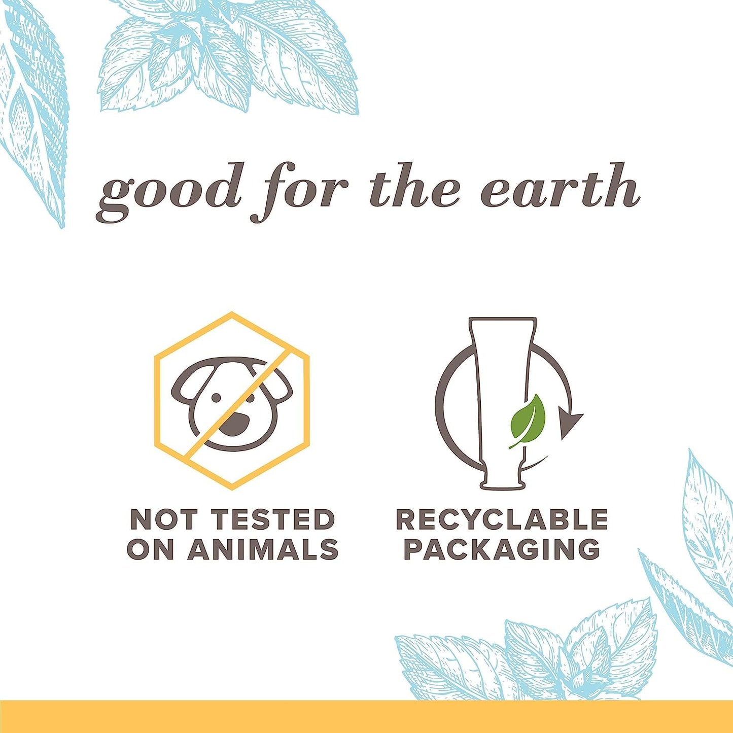 Burt's Bees Extra White Toothpaste - Fluoride Mountain Mint, 4.7 oz, Pack of 3