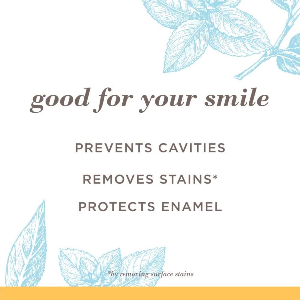 Burt's Bees Toothpaste with Fluoride – Extra White Zen Peppermint 4.7 oz (14) | ADA Accepted