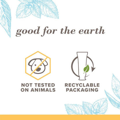 Burt's Bees Toothpaste with Fluoride – Extra White Zen Peppermint 4.7 oz (14) | ADA Accepted