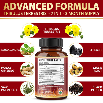 Tribulus Terrestris Capsules with Ashwagandha, Panax Ginseng, Saw Palmetto, Maca, Shilajit — 90 Capsules (3-Month Supply)