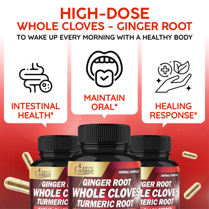 Cadane 5in1 Whole Cloves Herbal Blend – Digestive & Immune Support | 90 Capsules
