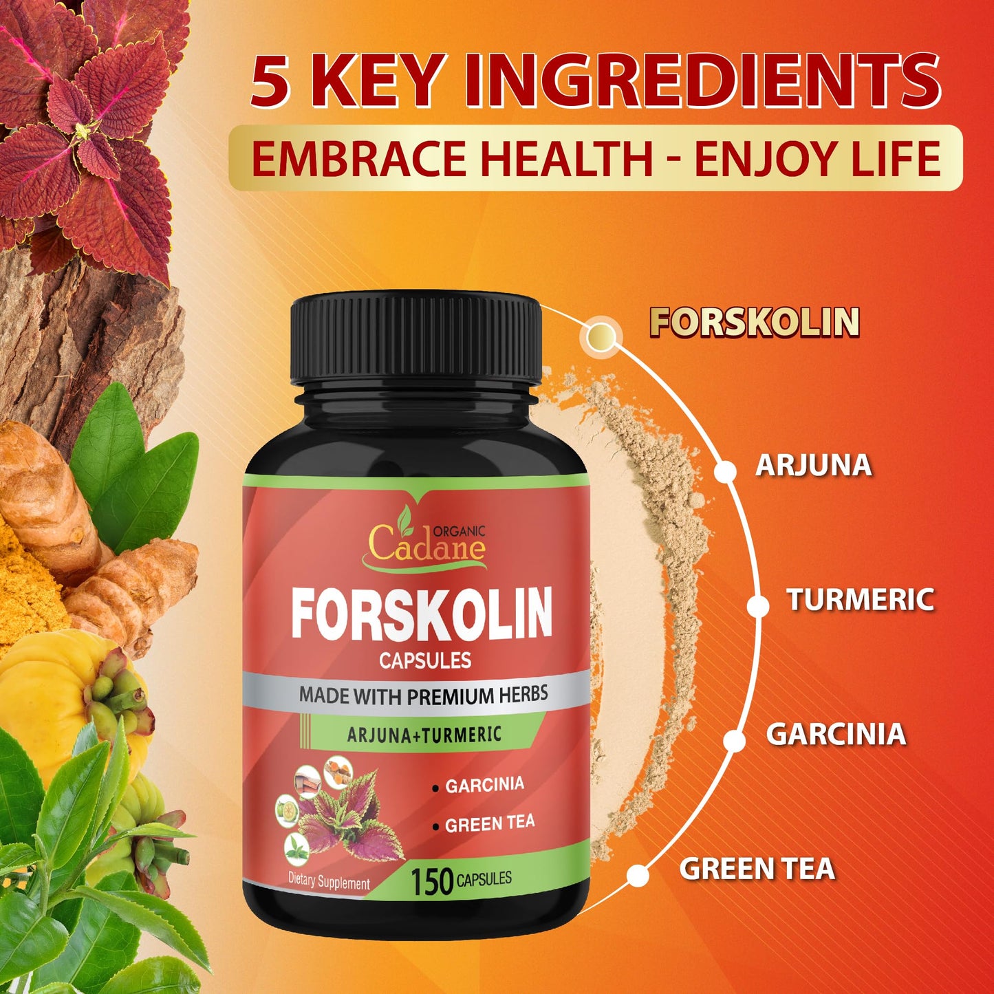 Cadane Forskolin Supplements - 5in1 with Turmeric, Arjuna, Garcinia Cambogia, Green Tea | 5 Month Supply