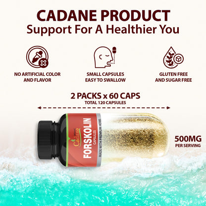 Cadane Forskolin Capsules – 2 Packs with Turmeric, Arjuna, Garcinia Cambogia & Green Tea | 4 Months Supply