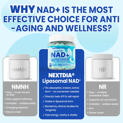 Liposomal NAD+ Gummies for Energy, Aging Defense & DNA Repair – 60 Count