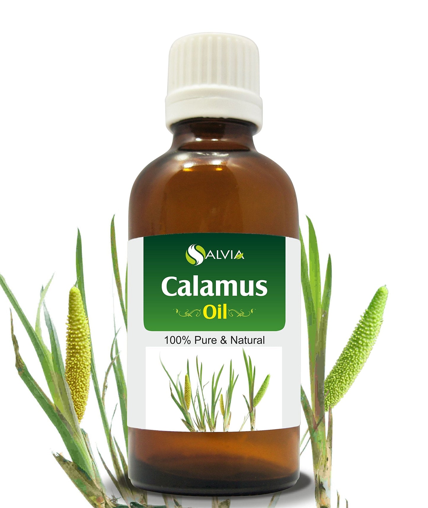 Calamus Oil (Acorus Calamus) Essential Oil – Salvia Amber Bottle 15ML | Pure Cold-Pressed
