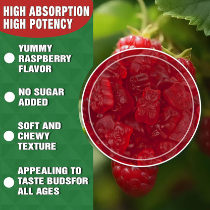 Calcium Magnesium Zinc Gummies with Vitamin D3 – Sugar Free, Vegan Raspberry 2 Pack