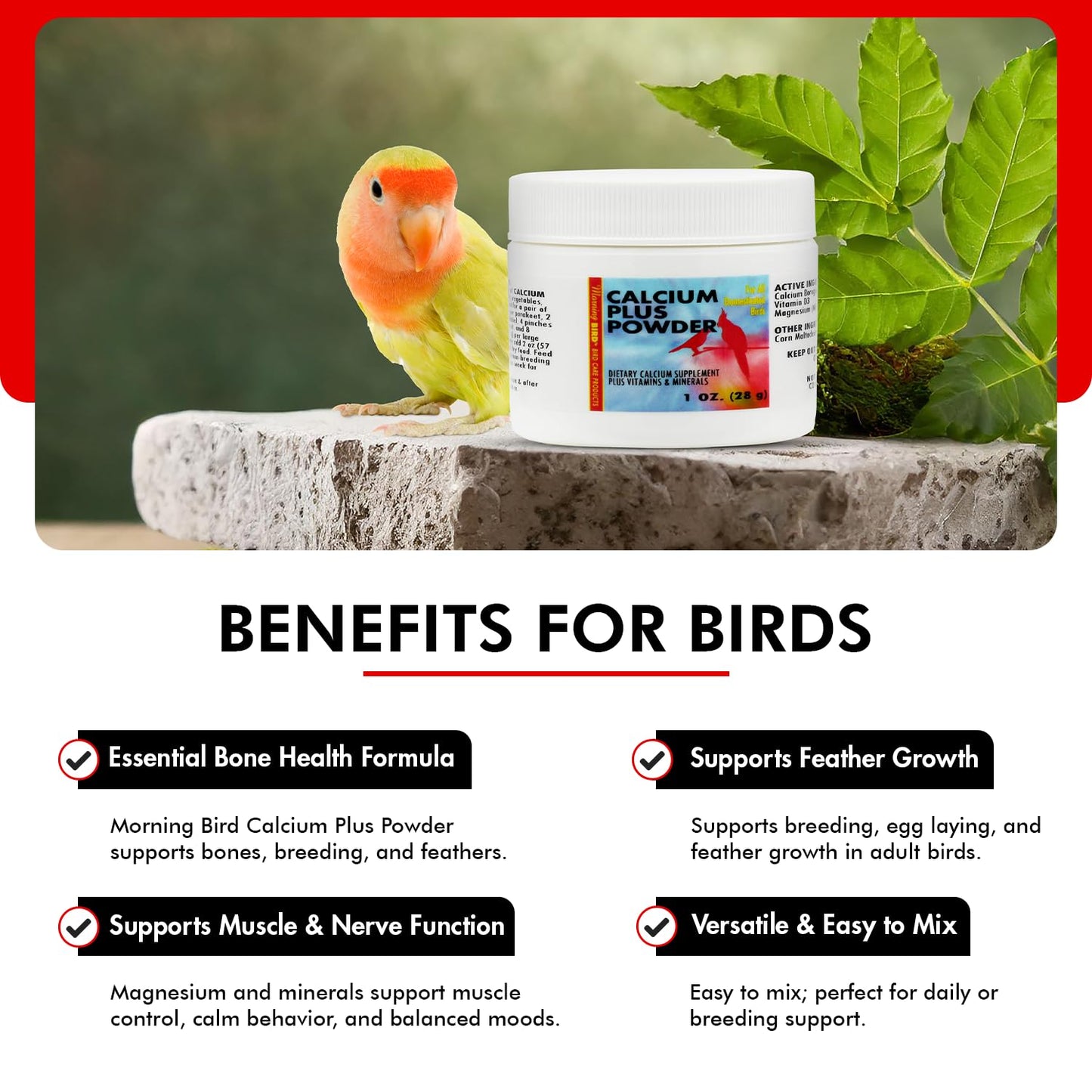 Morning Bird Calcium Plus Powder for Birds 1 oz – Calcium & Vitamin Supplement for Bone Health