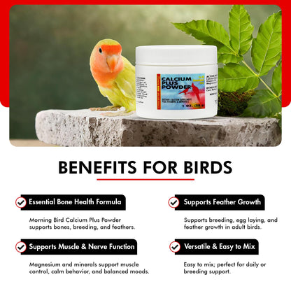 Morning Bird Calcium Plus Powder for Birds 1 oz – Calcium & Vitamin Supplement for Bone Health