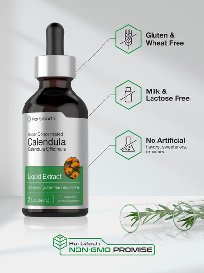Horbäach Calendula Tincture - 2 fl oz Liquid Extract Drops | Alcohol Free, Vegetarian & Non-GMO