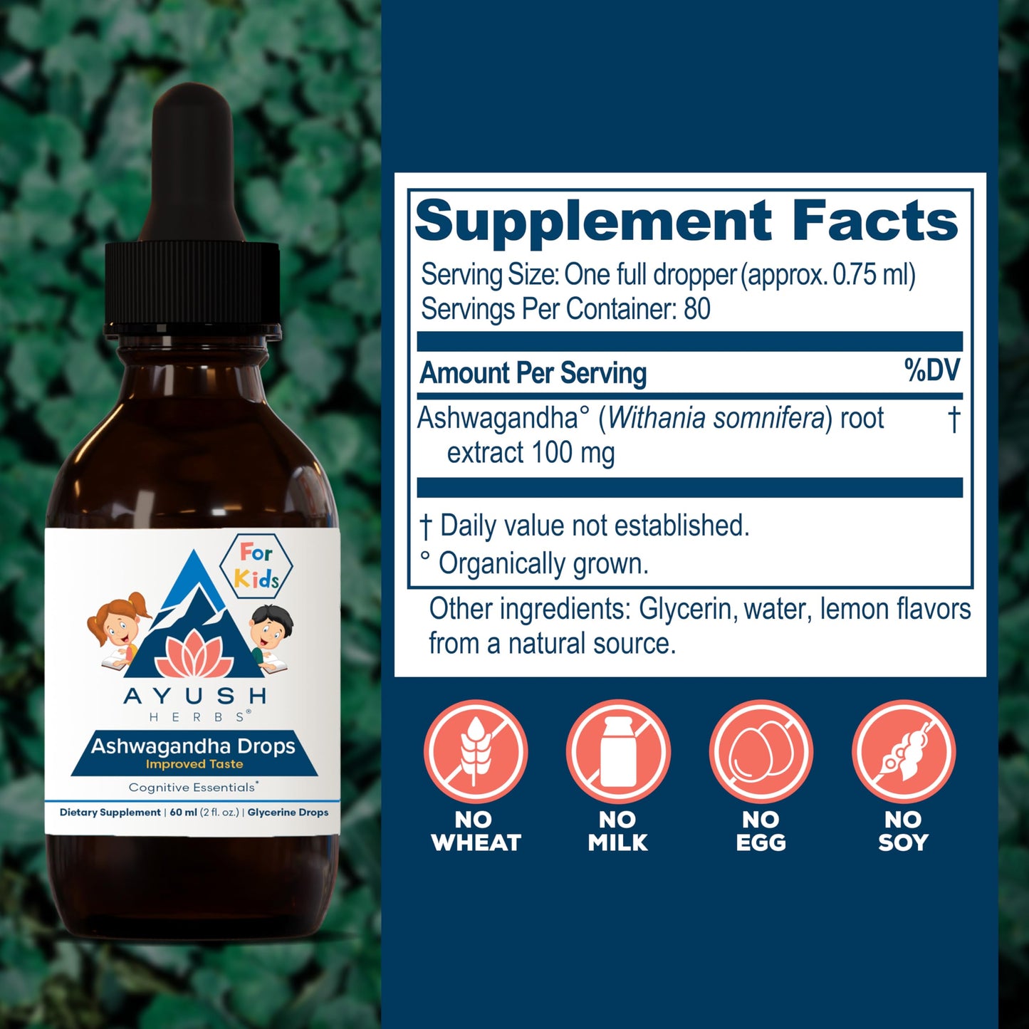 Ayush Herbs Ashwagandha Drops for Kids & Adults – Alcohol-Free Lemon Flavor, 2 oz (80 Servings)