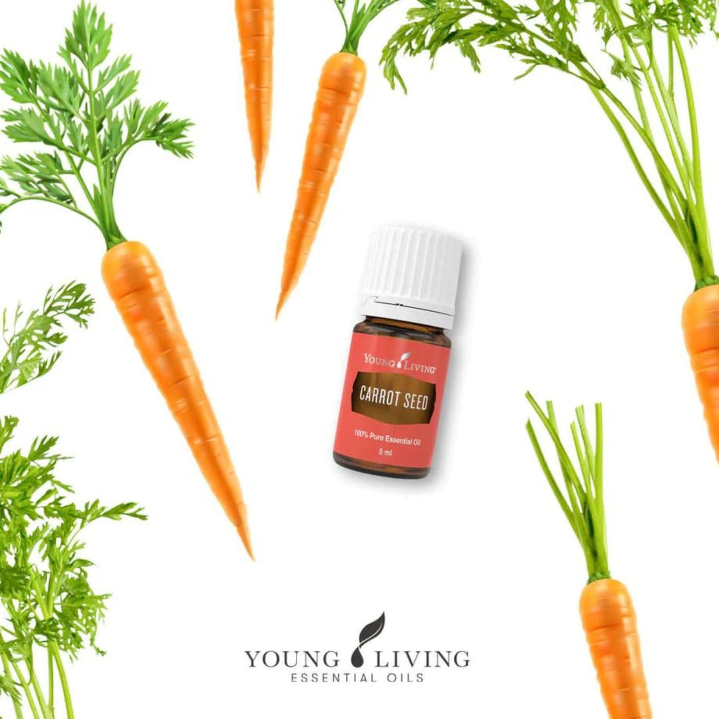 Young Living Carrot Seed Essential Oil 5 ml | Dry Skin Moisturizer, Beautifying & Skin Cleansing