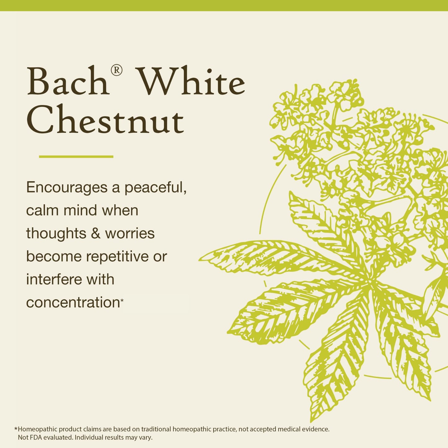 Bach White Chestnut Flower Remedy – Calm the Mind (20mL Dropper) | Vegan, Gluten Free