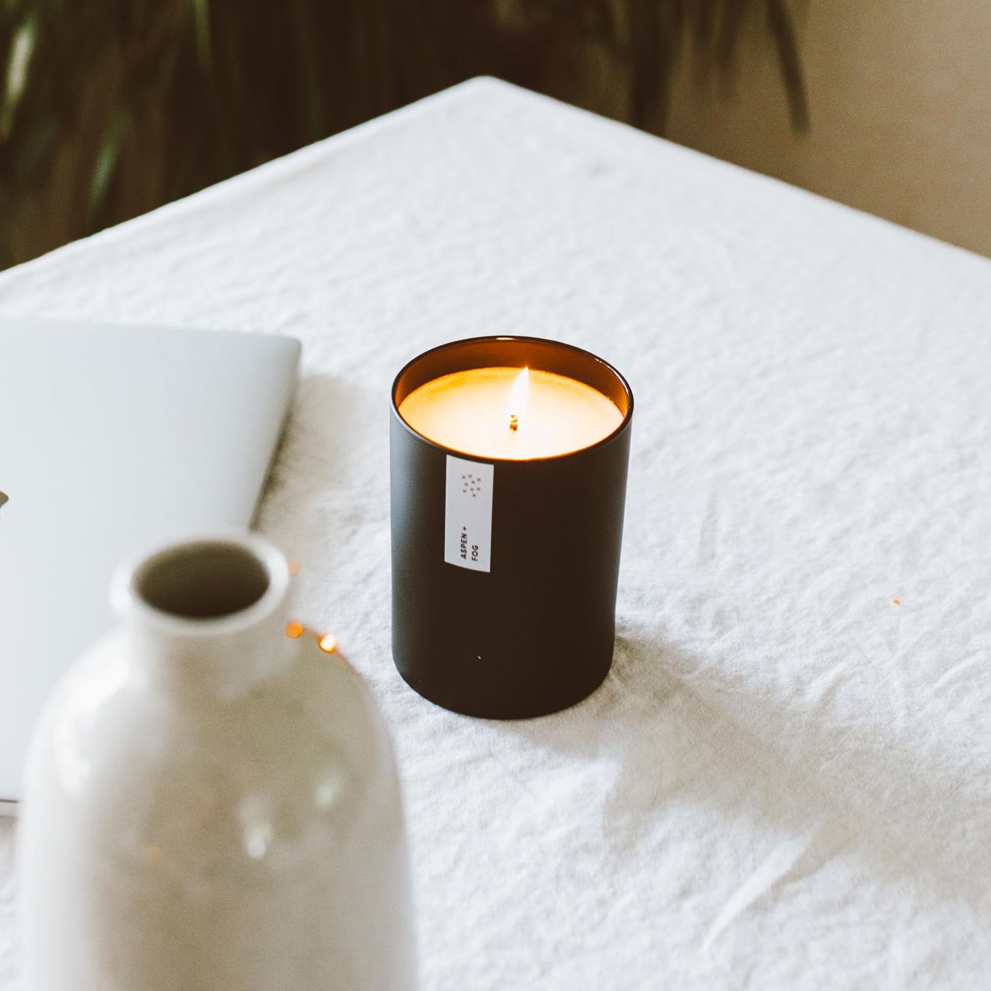 Calyan Wax Co. Aspen & Fog Scented Candle – 75 Hour Burn, Luxury Non-Toxic Soy, Black Tumbler Jar 10.2oz