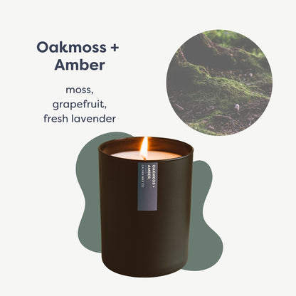 Calyan Wax Co. Oakmoss & Amber Candle – 75 Hour Burn | Non-Toxic Soy | Black Tumbler Jar | 10.2oz