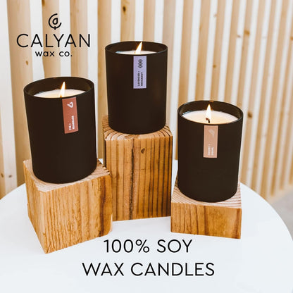 Calyan Wax Co. Oakmoss & Amber Candle – 75 Hour Burn | Non-Toxic Soy | Black Tumbler Jar | 10.2oz