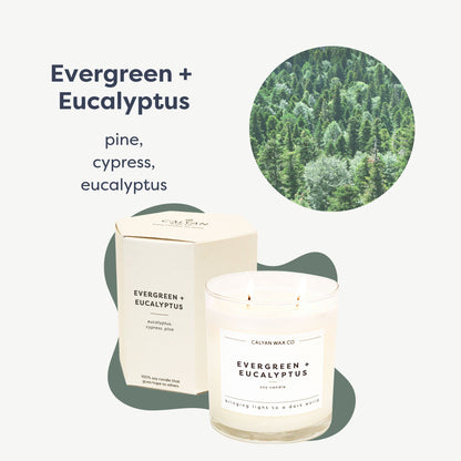 Calyan Wax Co. Evergreen & Eucalyptus 2-Wick Candle - 37-Hour Burn, Non-Toxic Soy, 8.8oz