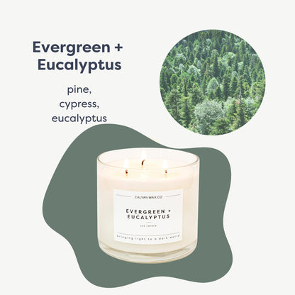 Calyan Wax Co. Evergreen & Eucalyptus 3-Wick Soy Candle – 14.9oz, 43h Burn
