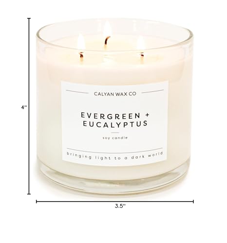 Calyan Wax Co. Evergreen & Eucalyptus 3-Wick Soy Candle – 14.9oz, 43h Burn