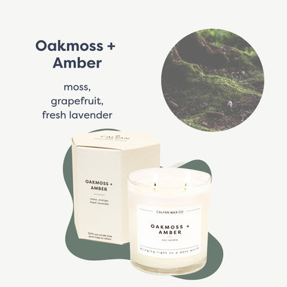 Calyan Wax Co. Oakmoss & Amber 2-Wick Candle | 8.8oz Soy Non-Toxic