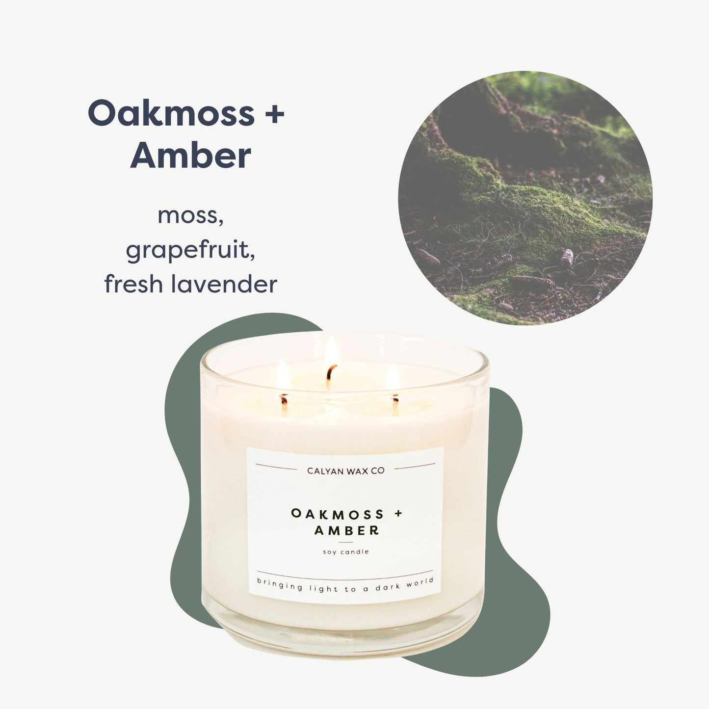 Calyan Wax Co. Oakmoss & Amber 3-Wick Soy Candle – 14.9oz