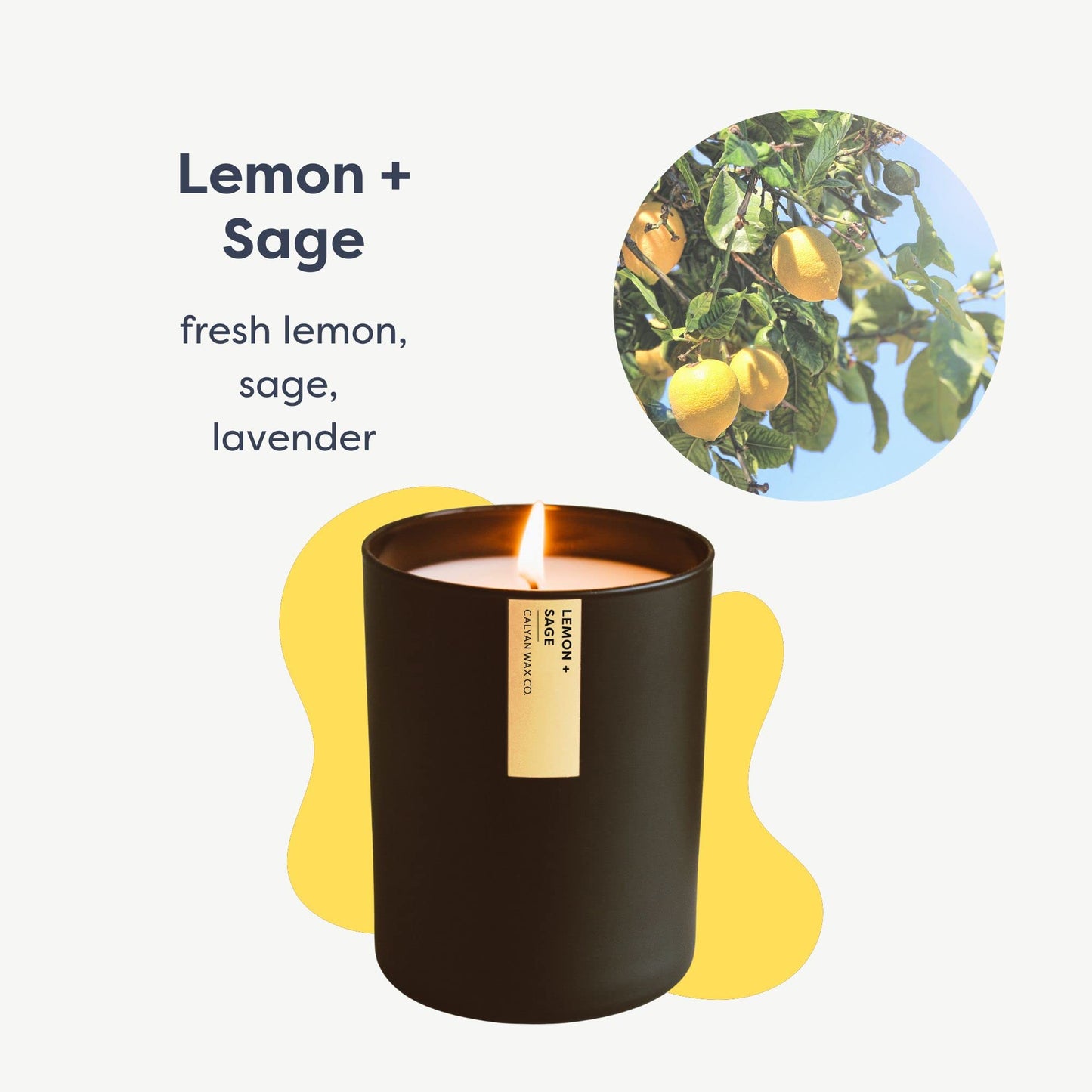 Calyan Wax Co. Passionfruit & Ginger Soy Candle - 75-Hour Burn, 10.2oz