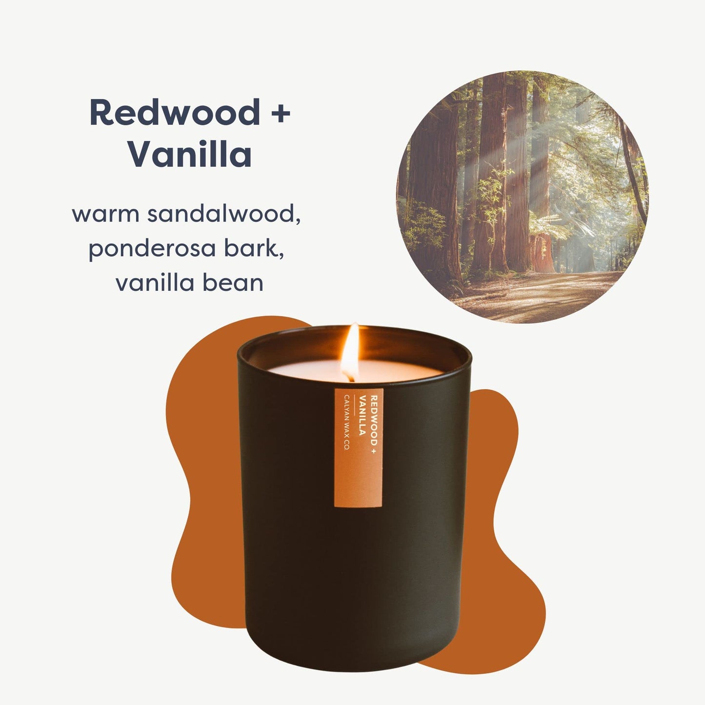 Calyan Wax Co. Redwood & Vanilla Candle — 75-Hour Soy, Black Tumbler, 10.2oz