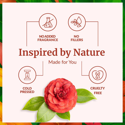 SVA Camellia Seed Oil Organic – Cold-Pressed Carrier Oil, 4 Fl Oz with Dropper