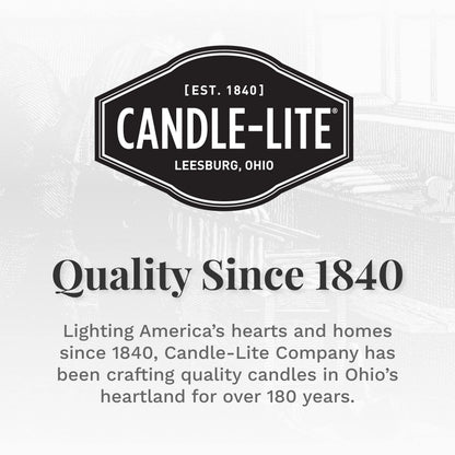 Candle-Lite Cinnamon Rolls 18 oz Brown Aromatherapy Candle