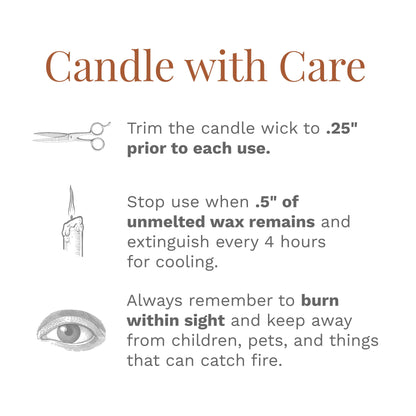 Candle-Lite Cinnamon Rolls 18 oz Brown Aromatherapy Candle