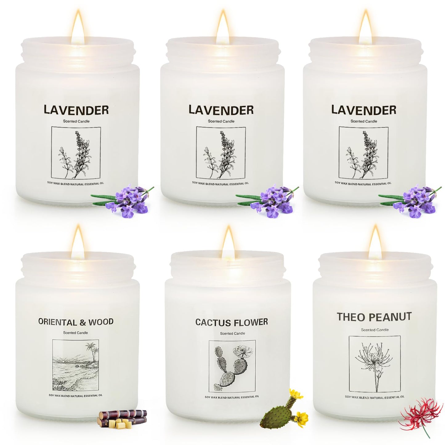 Lavender Candle Gift Set – 6-Pack, Natural Soy Wax Candles