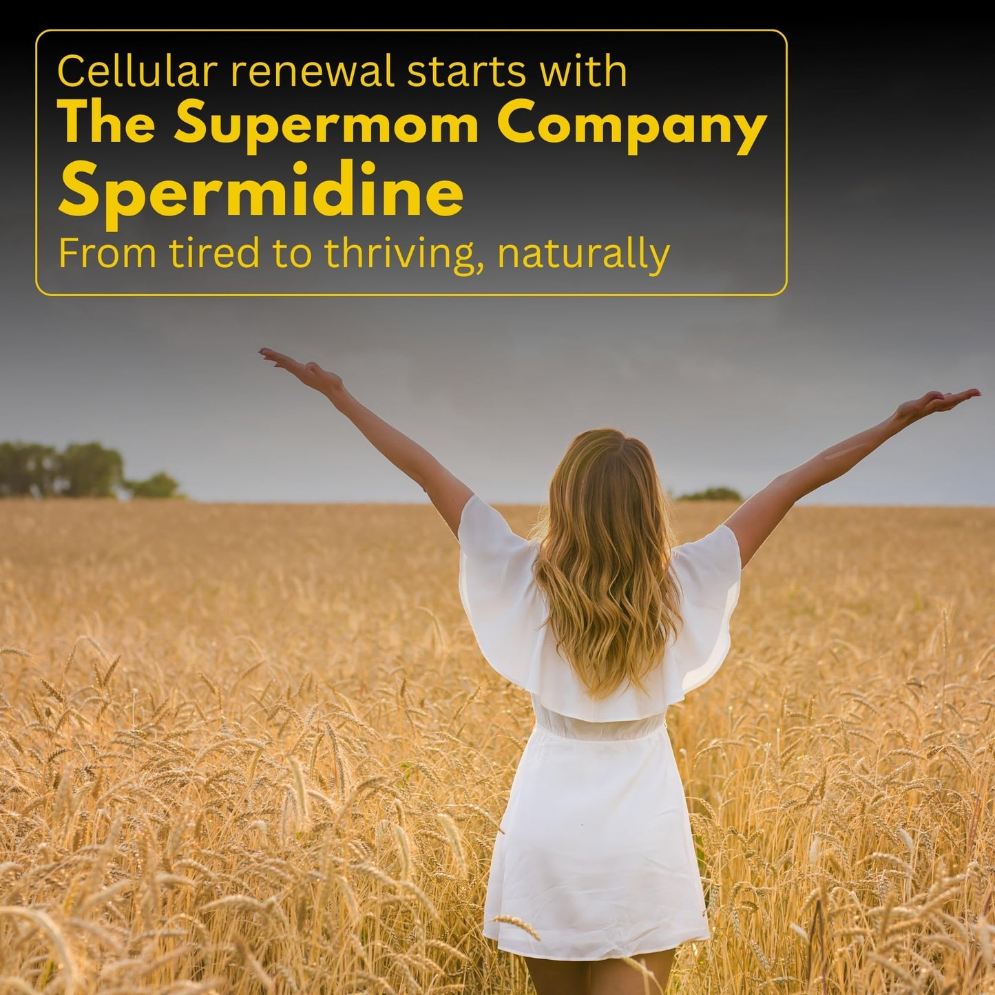 The Supermom Spermidine Supplement – 60 Veg Capsules, 1000 mg + BioPerine