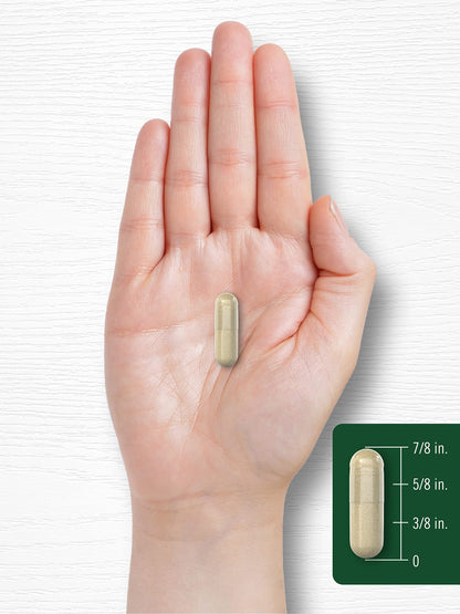 Carlyle Maca Root Capsules for Women & Men – 4800 mg High Potency, 180 Count