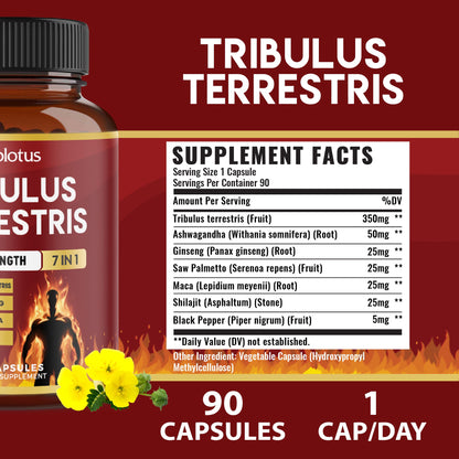 Tribulus Terrestris Capsules with Ashwagandha, Panax Ginseng, Saw Palmetto, Maca, Shilajit — 90 Capsules (3-Month Supply)