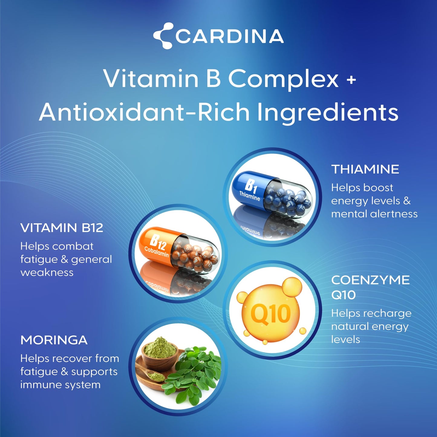Cardina B12 Vitamins for Women and Men – Brain Memory & Focus Support with Thiamine B1 & COQ10 | 60 Ct