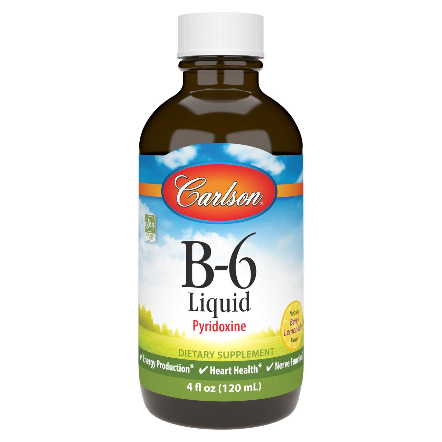 Carlson B-6 Liquid – Vitamin B6 for Energy & Heart Health (Berry Lemonade, 120 mL)