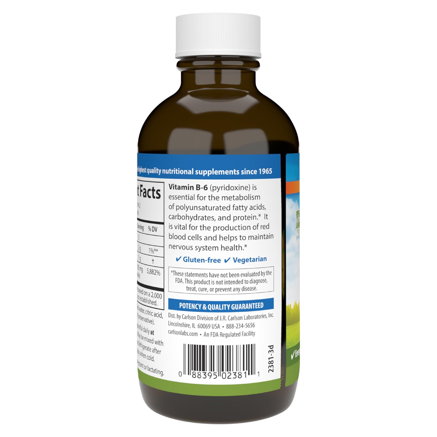 Carlson B-6 Liquid – Vitamin B6 for Energy & Heart Health (Berry Lemonade, 120 mL)