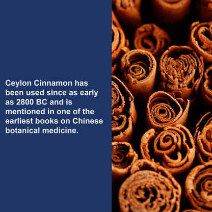 Carlson Ceylon Cinnamon Capsules - 500 mg, 180 ct | True Cinnamon Extract