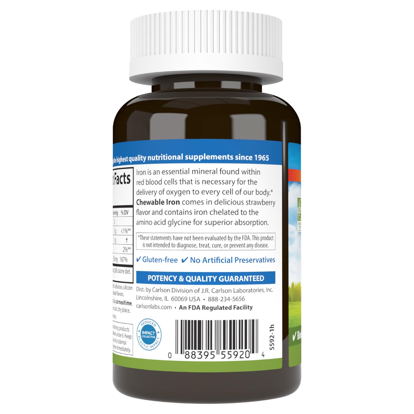Carlson Chewable Iron 30 mg – Superior Absorption, Blood Health, Energy & Wellness, 120 Tablets, Natural Strawberry Flavor