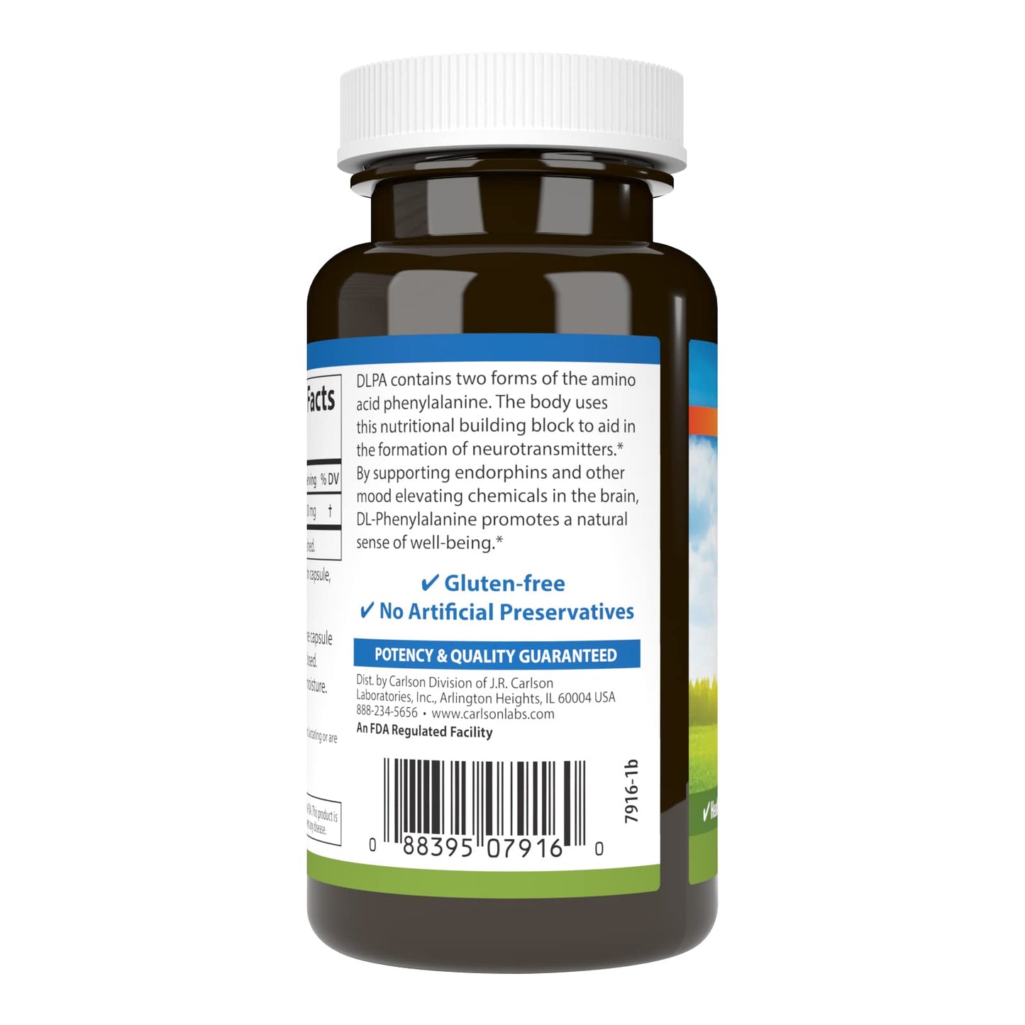 Carlson DLPA DL-Phenylalanine 500 mg – Mood & Cognitive Support (60 Capsules)